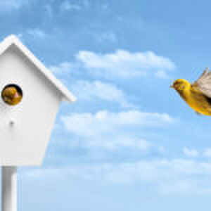 Latten als je kinderen hebt: ‘Ach, fulltime samenwonen is ook geen garantie voor een sprankelende relatie’