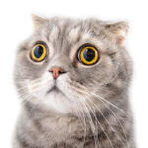 Dat ging ff mis: ‘Sindsdien ligt alles met een batterij achter slot en grendel’