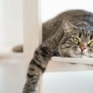 ‘Vanaf nu ga ik afvallen anders aanpakken, maar eerst nog een wijntje’