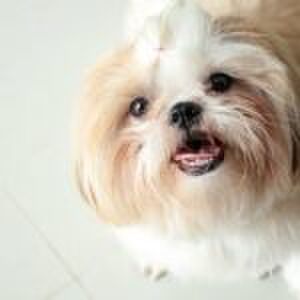 ‘Als ze mijn nieuwe vriend ontmoeten, dan maar zo spontaan’