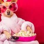 Wil je zien: deze familiefilms komen uit in 2025