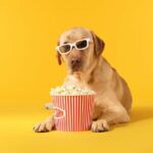 Dit zijn de leukste kinderfilms op Amazon Prime Video