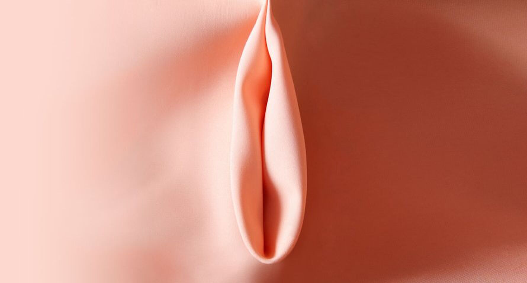 Transseksuallar bilan trannies