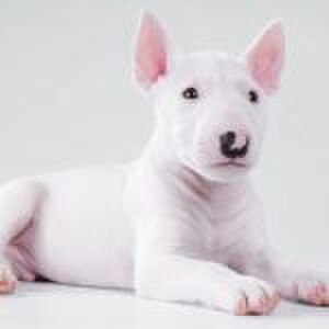 Katie: ‘Dat mijn oudste kinderen niet meer met de jongste willen spelen, doet hem én mij pijn’