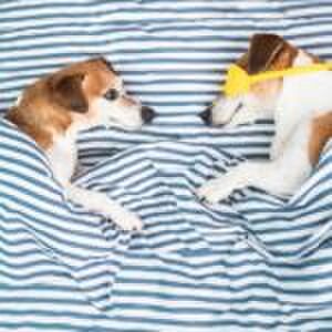 Moeder schrijft (om 4 uur ’s nachts!) een gedicht voor haar man omdat-ie door babygehuil heen slaapt