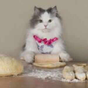 ‘Sommige kinderen hebben ‘extra’ stiefouders; mijn dochter heeft een nanny’