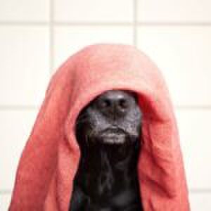 ‘Help, mijn peuter heeft een gênante tic’