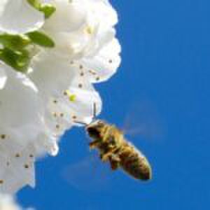 ‘Ik heb met mijn dochter over seks gepraat, en we hebben het overleefd’