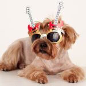 ‘Dit is waarom ik mijn baby meenam naar een rockconcert’