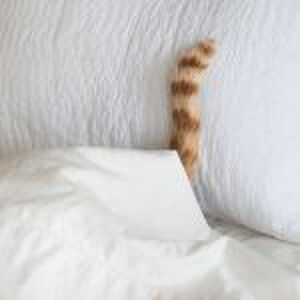 Betrapt door je kind: ‘Mama, waarom kreunde je zo onder de dekens?’