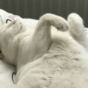 Extra tijd op het kinderdagverblijf: ‘Hij vindt het geweldig en mama heeft wat me-time’