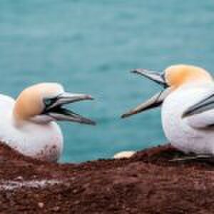Deze ouders hebben altijd gillende ruzie op vakantie