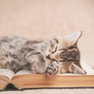 ‘Ik haat dagelijks voorlezen, dus doe ik het niet meer’