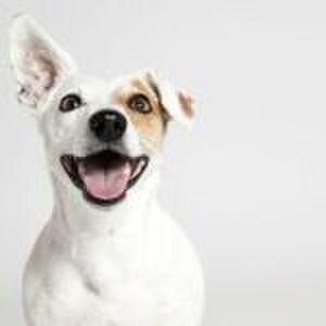 Een wijnvlek bij je baby: wat is het en kan het kwaad?