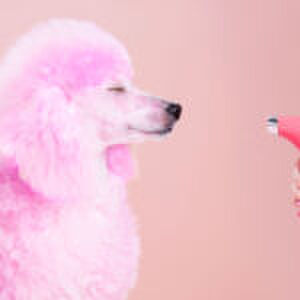 Van momretreats to mama-wellness: waar laad je écht van op?