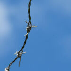 ‘De glamping bleek een uitgestorven boerenhuis met wilde dieren’