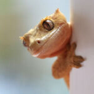 Grappige blunders: ‘Bij de aanblik klapte de buurvrouw dubbel van het lachen’