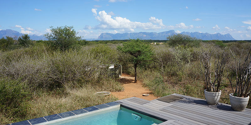 safari Zuid-Afrika met kinderen