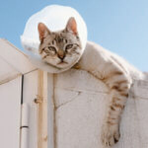 ‘Mijn ex kan het niet laten steeds dubbelzinnige opmerkingen te maken’