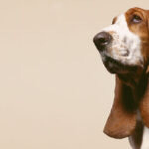 ‘Zijn mijn kinderen brutaal, dan pak ik gerust een week hun telefoons af’