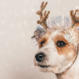 Feestdagen? Mij niet bellen: ‘Ik sla december liever helemaal over’