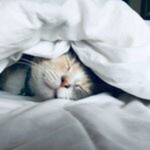 Cabau Lifestyle x Free a Girl: deze Sweet Dreams-set helpt dromen van jonge meisjes uitkomen