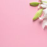 40 babynamen geïnspireerd op de maand juni