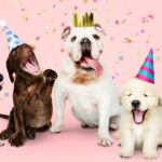 5 cadeautips voor de verjaardag van je tweede (of derde, vierde, vijfde…) kind