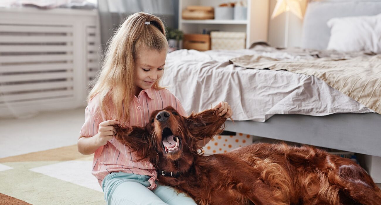 Huisdierperikelen: 'Toen onze hond erin begon te rollen, sloeg mijn ochtendmisselijkheid om in volle