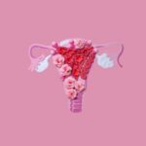 Van klachten tot behandelopties: specialisten bundelen krachten voor online hulp rondom endometriose