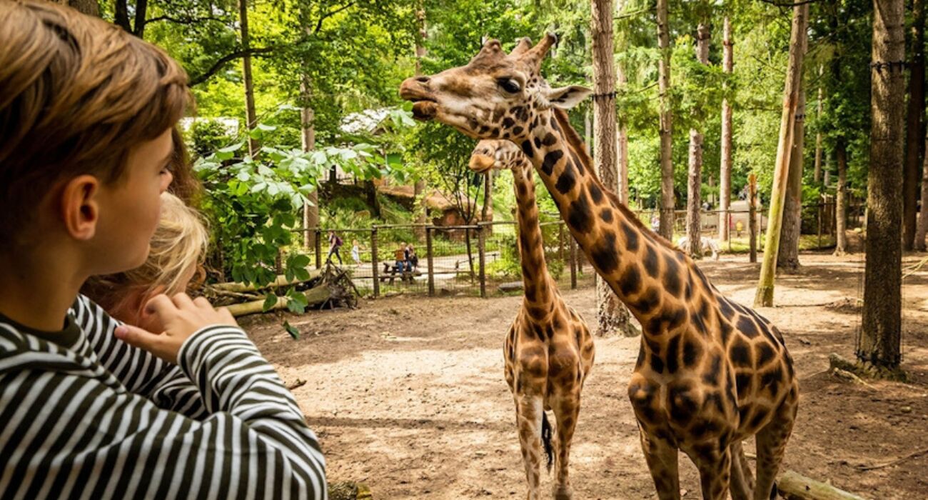 Dagje weg met korting: ontdek DierenPark Amersfoort