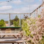 DeDAKKAS in Haarlem: deze rooftop-hotspot wil je deze zomer (weer) ontdekken