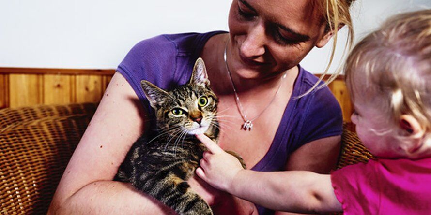 Portretten: katten moeders