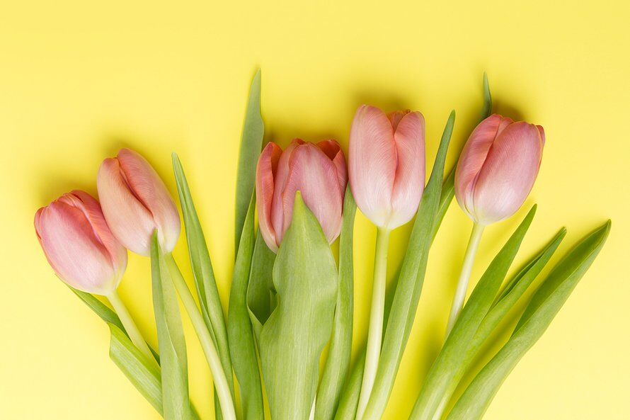 Illustratie bij: Deze fijne voorjaarsboeketten geven je interieur een fleurige boost