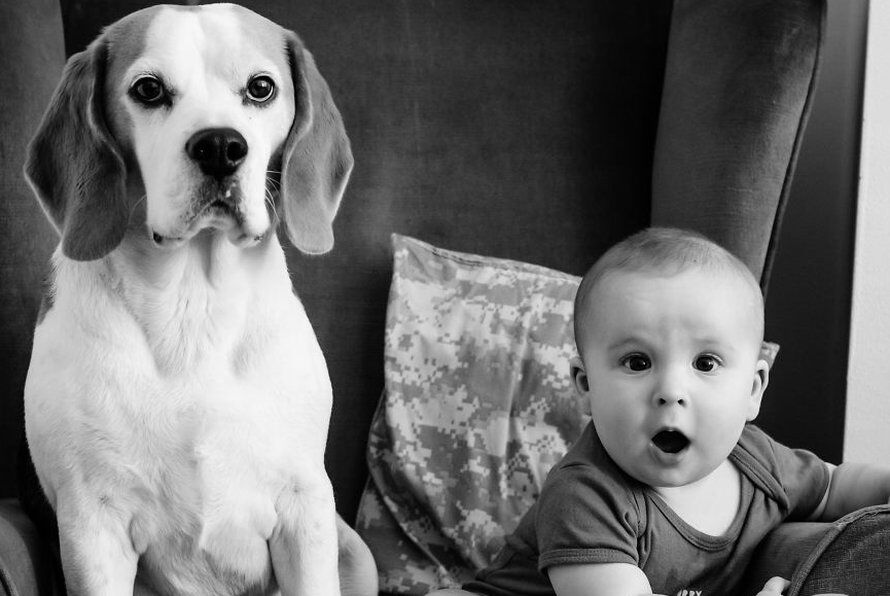 Illustratie bij: Fotoserie: vader maakt geweldige timelapse van zoon en hond