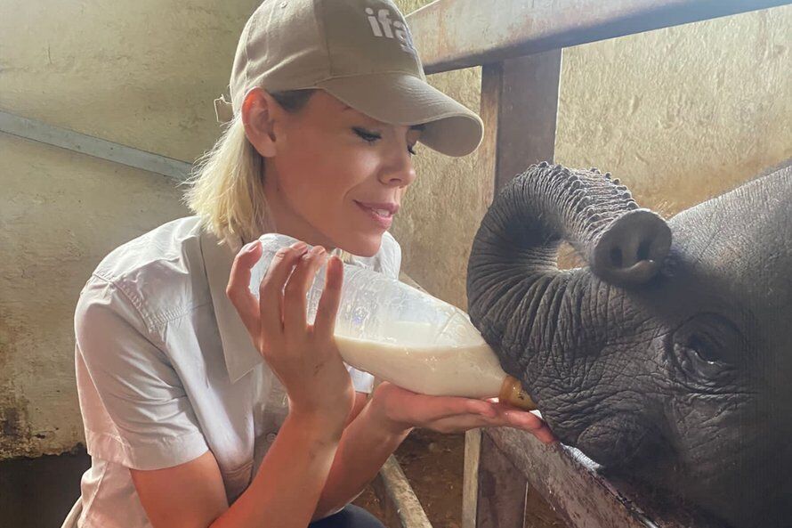 Illustratie bij: Nicolette Kluijver komt in actie voor weesolifanten: ‘Tranen blijven biggelen’