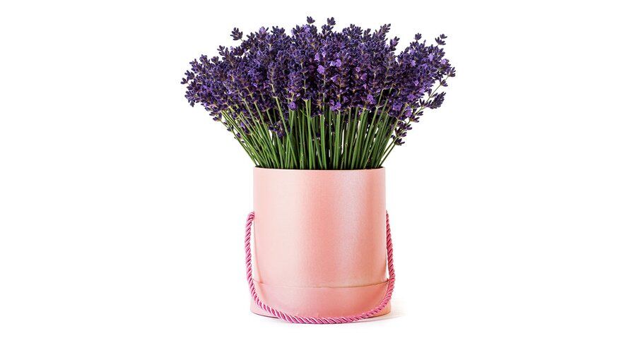Illustratie bij: Déze tuinplanten zijn veilig voor je kind