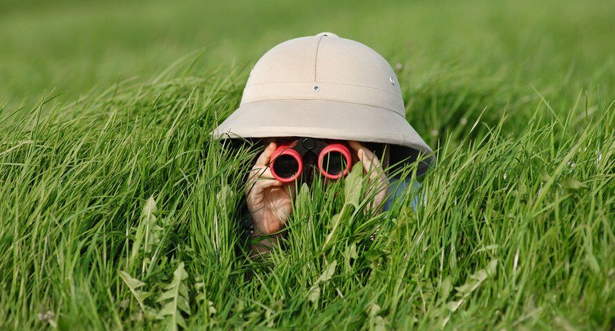 campina safari op de wei vogelspotten