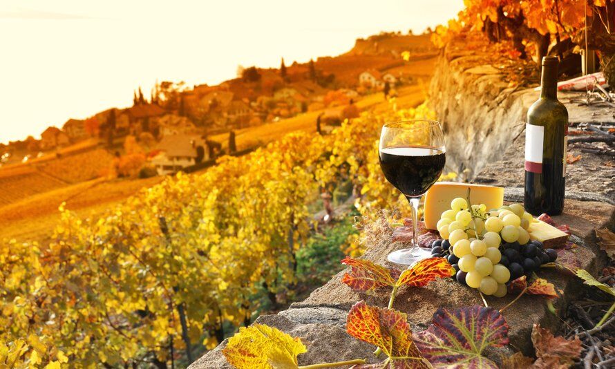 Illustratie bij: Wijn proeven in Europa: dit zijn de populairste wijnstreken