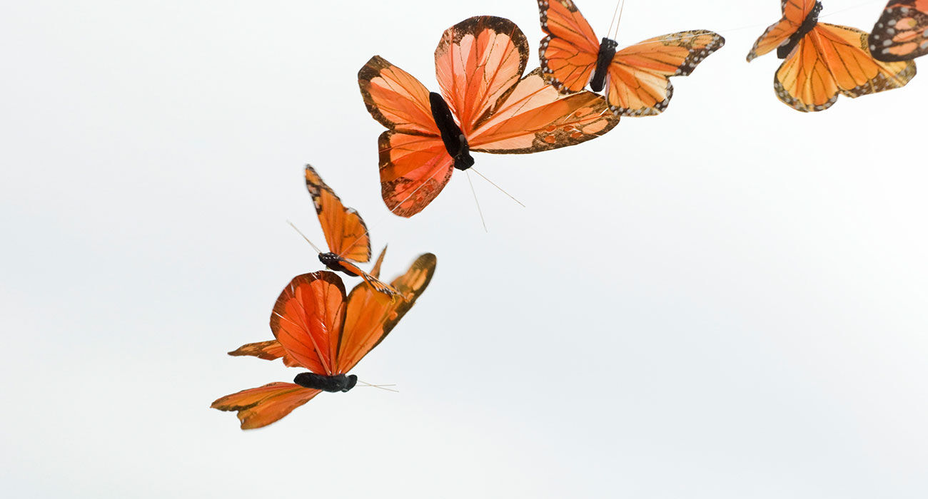 Illustratie bij: Leven met de vlinderziekte: ‘Elke aanraking zorgt voor een blaar’