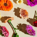 Van roos tot anjer: dit zeggen de bloemen in je moederdagboeket