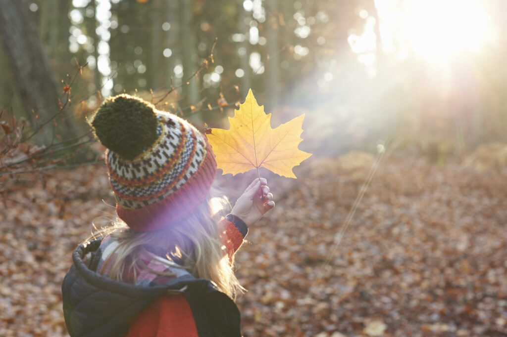 Meisje met een muts op houdt een herfstblad omhoog tegen de zon in tijdens een boswandeling met haar ouders.