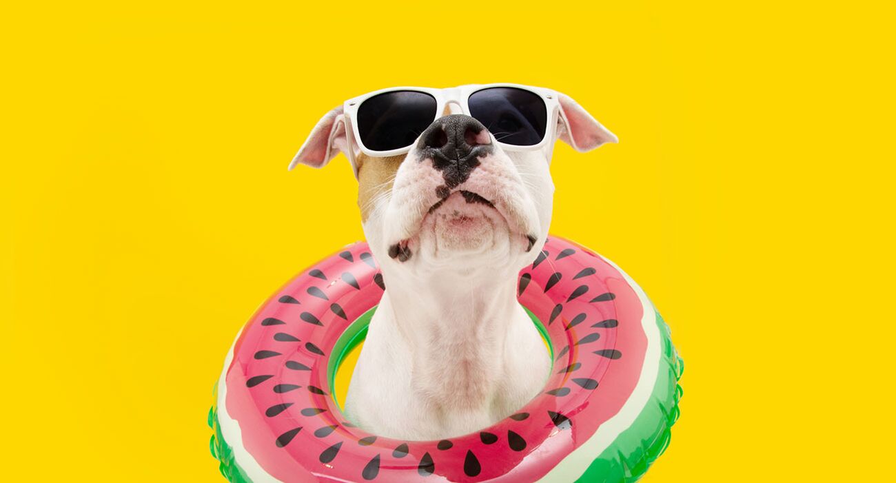 Zet ‘m alvast in je agenda dit zijn de schoolvakanties van 2023/2024