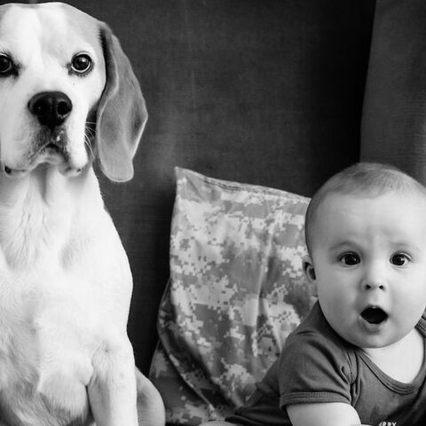 Illustratie bij: Fotoserie: vader maakt geweldige timelapse van zoon en hond