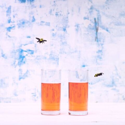 Illustratie bij: VIDEO: zo houd je insecten uit je drankje