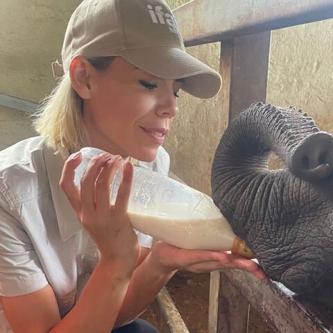 Illustratie bij: Nicolette Kluijver komt in actie voor weesolifanten: ‘Tranen blijven biggelen’