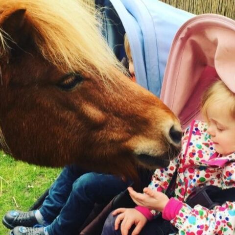 Illustratie bij: Van paarden tot moestuintjes: dit plaatsten BN’er-moeders deze week op Instagram