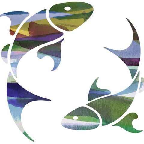 Illustratie bij: Horoscoop september: Vissen