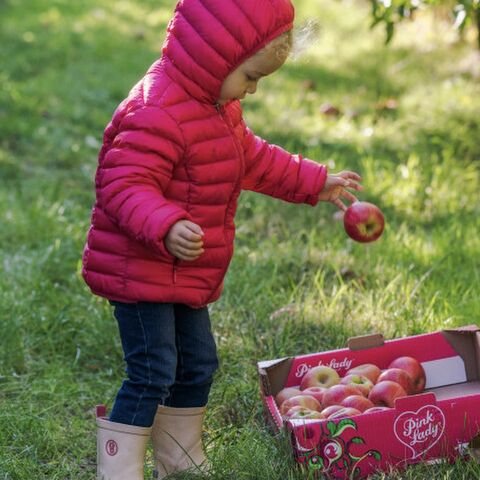 Illustratie bij: 6 redenen om je kind vaker een appel te geven