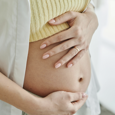 Illustratie bij: Let op als je zwanger bent: zorgwekkende stijging van het gevaarlijke parvovirus